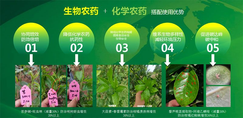 新朝陽在第六屆中國農(nóng)藥行業(yè)市場和銷售高峰論壇做“生物農(nóng)藥+化學(xué)農(nóng)藥，引領(lǐng)植保市場未來”主題報告