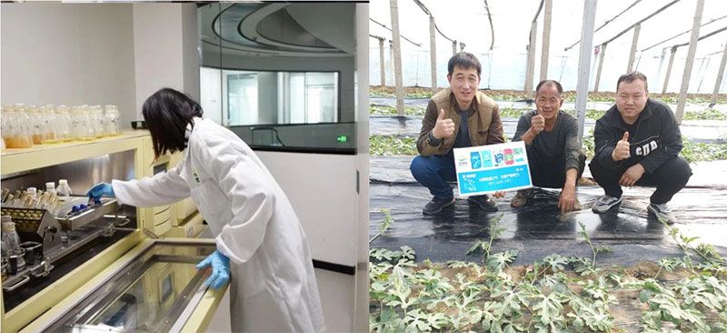 打造新朝陽生物科技“五張名片”，服務(wù)農(nóng)業(yè)高質(zhì)量發(fā)展！