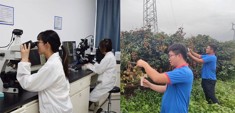 打造新朝陽生物科技“五張名片”，服務(wù)農(nóng)業(yè)高質(zhì)量發(fā)展！