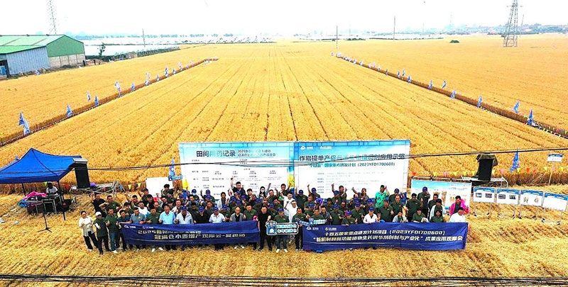 生物技術(shù)助力糧食單產(chǎn)顯著提升-“十四五”國(guó)家重點(diǎn)研發(fā)計(jì)劃成果應(yīng)用觀摩會(huì)圓滿(mǎn)落幕