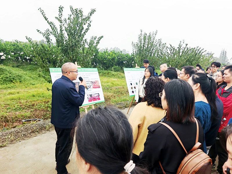 新朝陽生物技術(shù)助力綠色防控，推動柑橘產(chǎn)業(yè)綠色高質(zhì)量發(fā)展